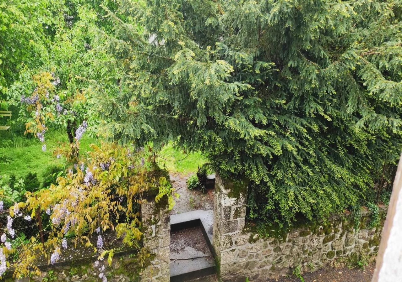 CAP NATURE Cosy 3 chambres PERIGORD VERT Champniers-et-Reilhac Exterior foto